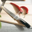 Komplet noży kuchennych (6el) w bloku Amefa / Richardson Sheffield - KYU 1A.RS.KYU.K5