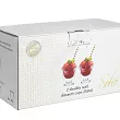 Kpl. pucharków do lodów z podwójną ścianką ok. 250 ml (2 szt) Vialli Design - Soho 1K.SOHO.9002