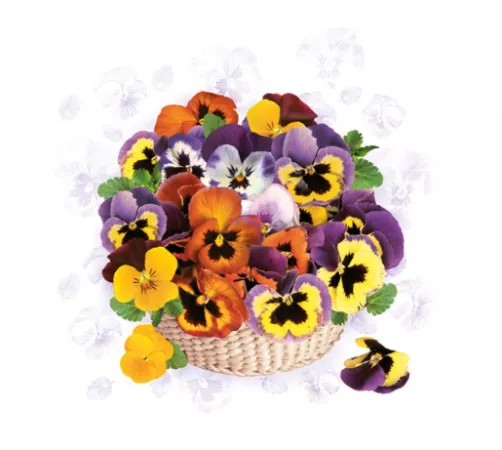 Serwetki 33 x 33 cm (20szt) Polmak - Daisy Wiosna - bratki 55.SD-WI-007901 Serwetki 33 x 33 cm (20szt) Polmak - Daisy Wiosna - bratki 55.SD-WI-007901